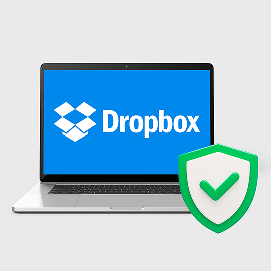 Secure and protect your Dropbox data Cloudbacko Go
