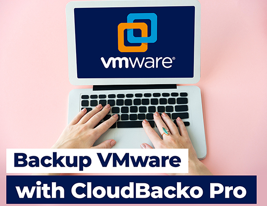 How to backup VMware vCenter/ESXi guest VMs with CloudBacko Pro?