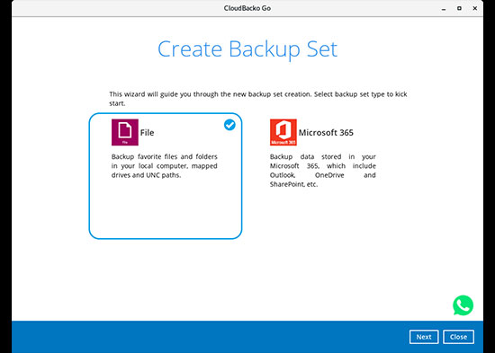 3. Select the Backup Set Type “MS SQL Server Backup”.