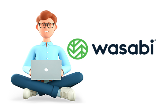 Secure and protect your Wasabi cloud data cloudbacko go