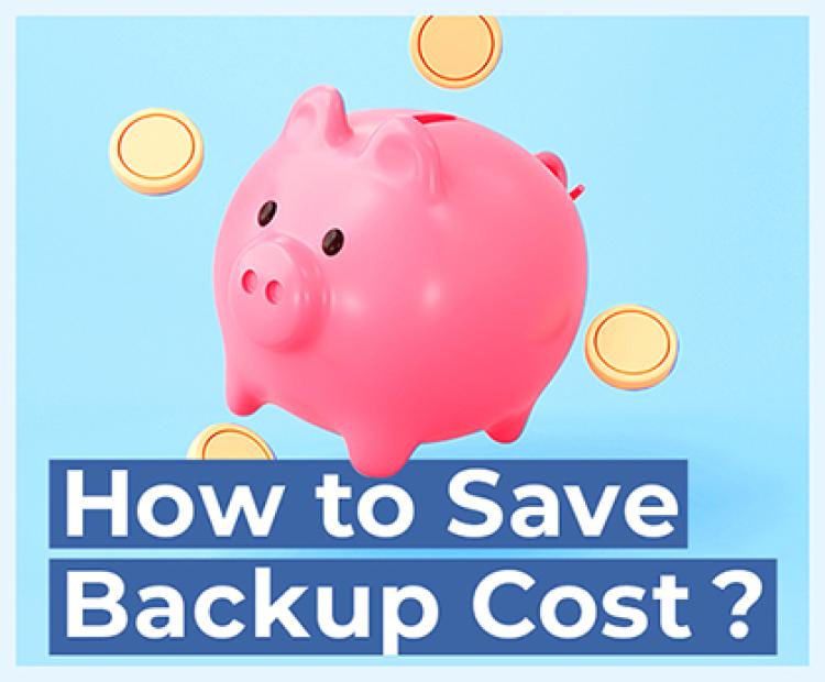 How to Save Backup Cost?