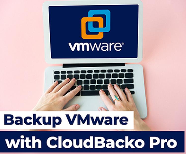 How to backup VMware vCenter/ESXi guest VMs with CloudBacko Pro