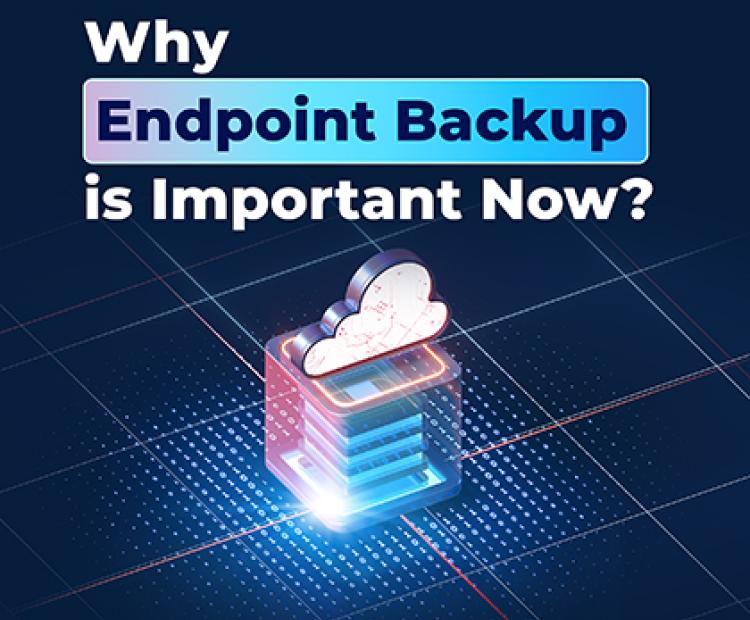 Why Endpoint Backup is Important Now?